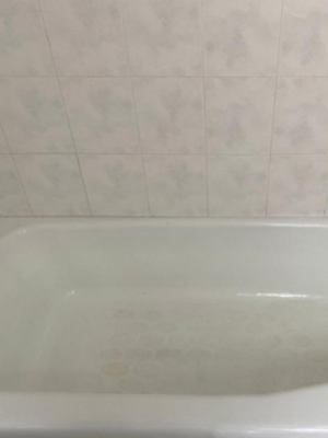 Deise's House Cleaning in Massachusetts