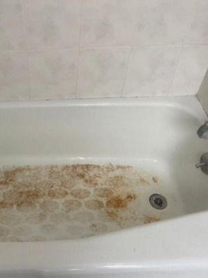 Deise's House Cleaning in Massachusetts