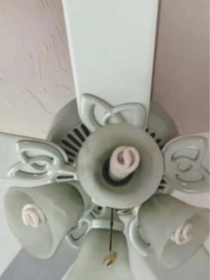 Deise's House Cleaning in Massachusetts