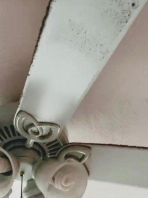 Deise's House Cleaning in Massachusetts