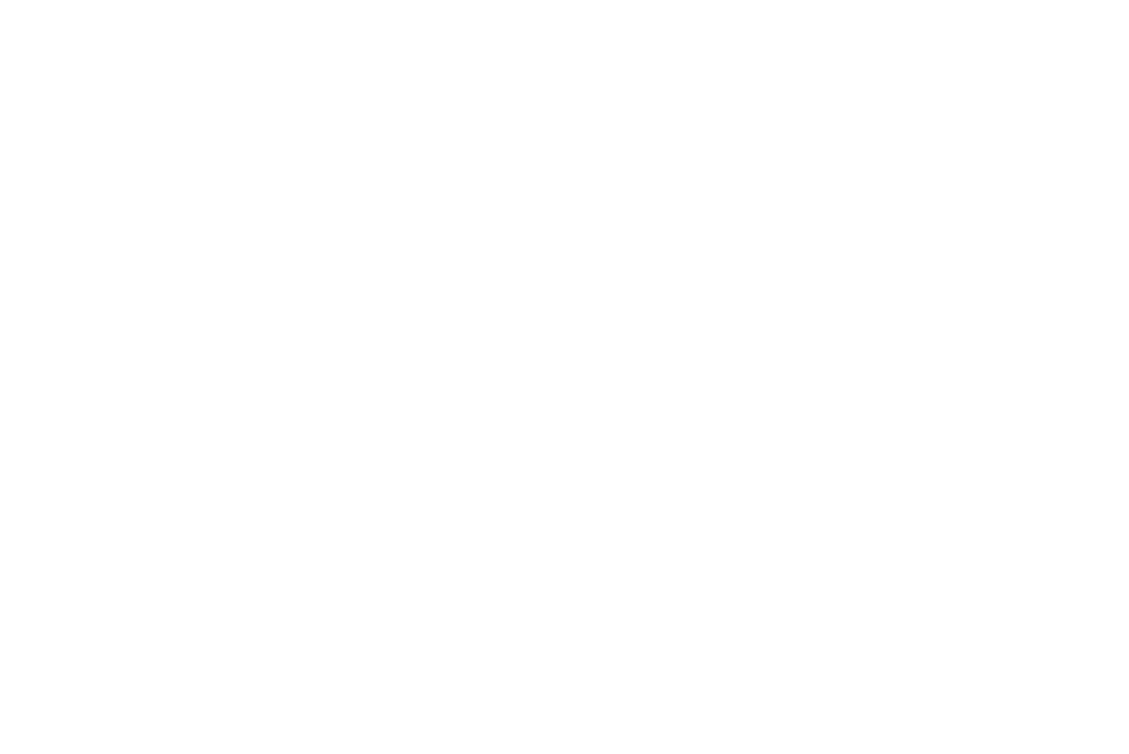 House Cleaning in Massachusetts - Deise's House Cleaning Service