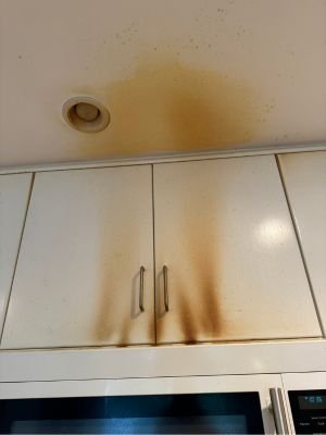 antes e depois deise house cleaning 6